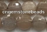 CCB725 15.5 inches 8mm faceted coin moonstone gemstone beads