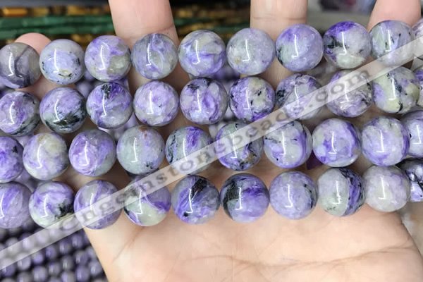 CCG322 15.5 inches 12mm round natural charoite beads wholesale