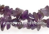 CCH12 35 inches purple amethyst chips gemstone beads wholesale