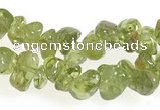 CCH16 35 inches green peridot chips gemstone beads wholesale