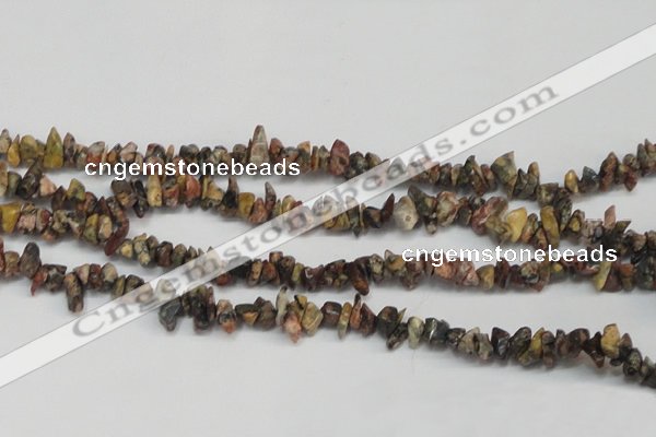 CCH204 34 inches 3*5mm red leopard skin jasper chips beads wholesale