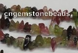 CCH212 16 inches 3*5mm tourmaline chips gemstone beads wholesale