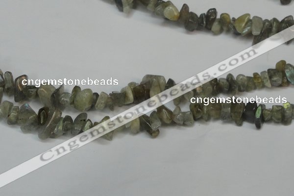 CCH217 34 inches 5*8mm labradorite chips gemstone beads wholesale