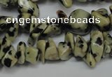 CCH228 34 inches 5*8mm dalmatian jasper chips gemstone beads wholesale