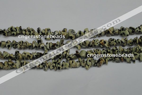 CCH228 34 inches 5*8mm dalmatian jasper chips gemstone beads wholesale