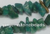 CCH231 34 inches 5*8mm Russian amazonite chips gemstone beads wholesale