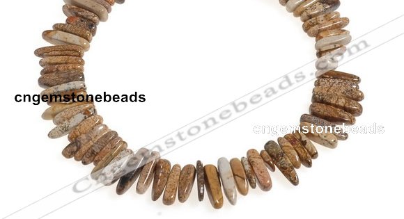 CCH26 16 inches picture jasper chips gemstone beads wholesale