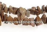 CCH27 35 inches picture jasper chips gemstone beads wholesale