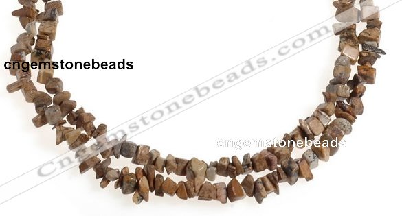 CCH27 35 inches picture jasper chips gemstone beads wholesale