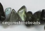 CCH277 34 inches 8*12mm labradorite chips gemstone beads wholesale