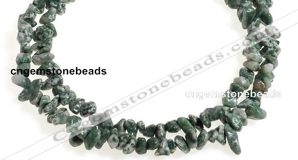 CCH29 35 inches dalmatian jasper chips gemstone beads wholesale