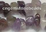 CCH291 34 inches 8*12mm amethyst chips gemstone beads wholesale