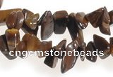 CCH30 34 inches tigers Eye chips gemstone beads wholesale