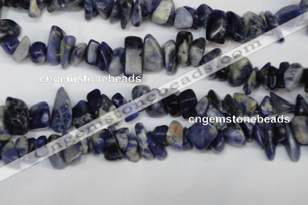 CCH300 34 inches 8*12mm sodalite chips gemstone beads wholesale