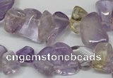 CCH314 15.5 inches 10*15mm ametrine chips gemstone beads wholesale