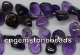 CCH315 15.5 inches 10*15mm amethyst chips gemstone beads wholesale