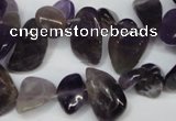 CCH316 15.5 inches 10*15mm amethyst chips gemstone beads wholesale