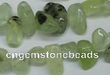 CCH318 15.5 inches 10*15mm prehnite chips gemstone beads wholesale