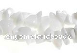 CCH32 35 inches white stone chips gemstone beads wholesale