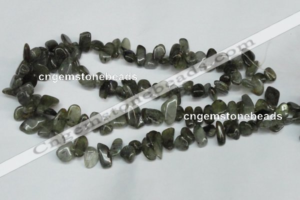 CCH320 15.5 inches 10*15mm labradorite chips gemstone beads wholesale