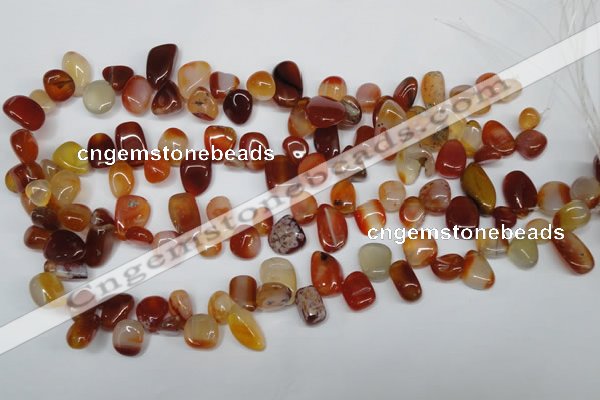 CCH333 15.5 inches 10*15mm red agate chips gemstone beads wholesale