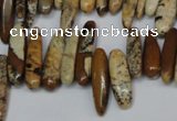 CCH345 15.5 inches 5*20mm picture jasper chips beads wholesale