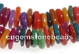 CCH44 32 inches multi color shell chips beads wholesale