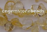 CCH612 15.5 inches 6*8mm - 10*14mm citrine chips gemstone beads