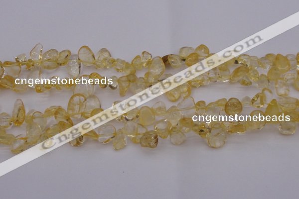 CCH612 15.5 inches 6*8mm - 10*14mm citrine chips gemstone beads