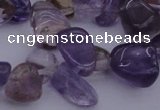 CCH614 15.5 inches 6*8mm - 10*14mm ametrine chips gemstone beads