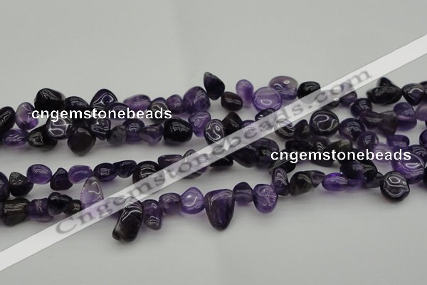 CCH615 15.5 inches 6*8mm - 10*14mm amethyst chips gemstone beads