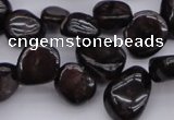 CCH617 15.5 inches 6*8mm - 10*14mm garnet chips gemstone beads