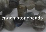 CCH618 15.5 inches 6*8mm - 10*14mm labradorite chips gemstone beads