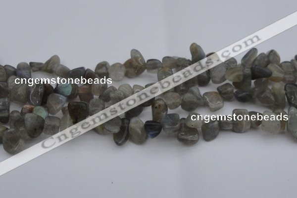 CCH618 15.5 inches 6*8mm - 10*14mm labradorite chips gemstone beads