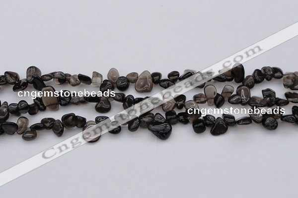 CCH623 15.5 inches 6*8mm - 10*14mm smoky quartz chips beads