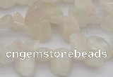 CCH624 15.5 inches 6*8mm - 10*14mm white moonstone chips beads