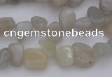 CCH625 15.5 inches 6*8mm - 10*14mm grey moonstone chips beads