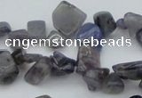 CCH627 15.5 inches 6*8mm - 10*14mm iolite gemstone chips beads