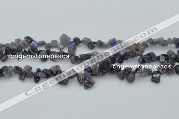 CCH627 15.5 inches 6*8mm - 10*14mm iolite gemstone chips beads