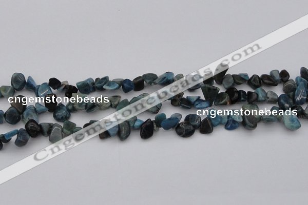 CCH628 15.5 inches 6*8mm - 10*14mm apatite gemstone chips beads