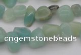 CCH630 15.5 inches 6*8mm - 10*14mm Chinese amazonite chips beads