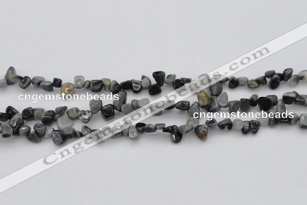 CCH633 15.5 inches 6*8mm - 10*14mm eagle eye jasper chips beads