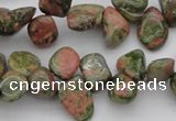 CCH636 15.5 inches 6*8mm - 10*14mm unakite gemstone chips beads