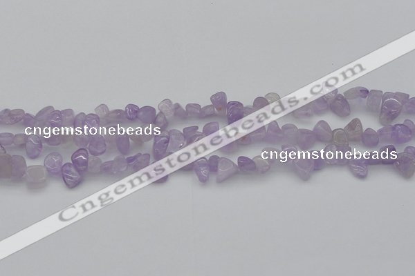 CCH641 15.5 inches 6*8mm - 10*14mm lavender amethyst chips beads