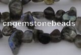 CCH642 15.5 inches 6*8mm - 10*14mm labradorite chips beads