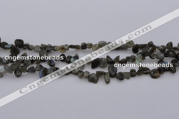 CCH642 15.5 inches 6*8mm - 10*14mm labradorite chips beads