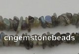 CCH645 15.5 inches 4*6mm - 5*8mm labradorite chips beads