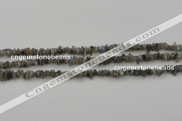 CCH645 15.5 inches 4*6mm - 5*8mm labradorite chips beads