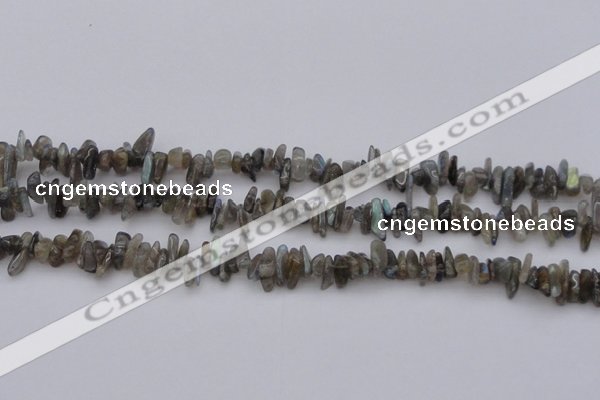 CCH646 15.5 inches 4*10mm - 6*14mm labradorite chips beads