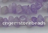 CCH648 15.5 inches 8*12mm - 10*14mm lavender amethyst chips beads